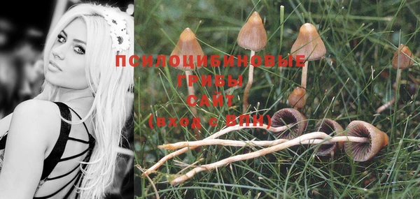 героин Лиски