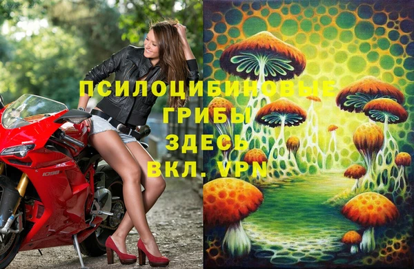 эйфоретик Нефтекумск