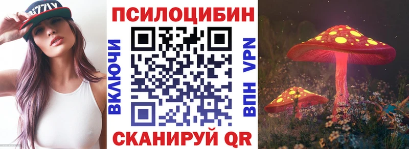 где купить наркоту  Талица  Псилоцибиновые грибы Magic Shrooms 