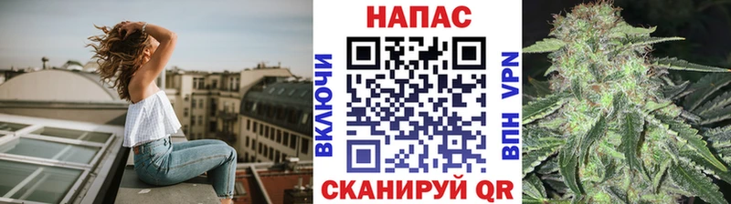 ссылка на мегу как войти  Талица  Каннабис марихуана 